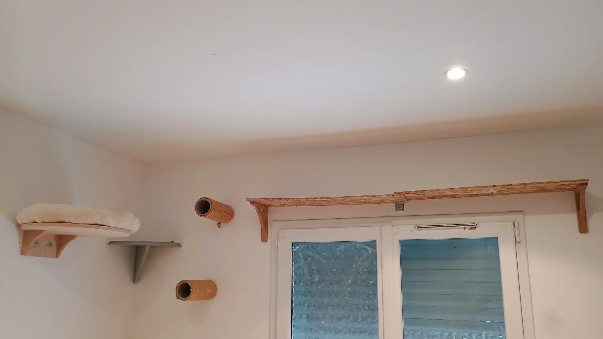 Parcours mural pour chats